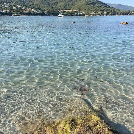 U Giardinu T2 Vue Mer Avec Jardin Clos * Pietrosella