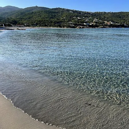 U Giardinu T2 Vue Mer Avec Jardin Clos Pietrosella