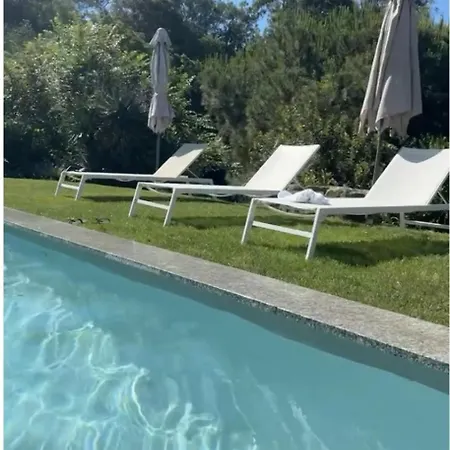 U Giardinu T2 Vue Avec Jardin Clos Pietrosella